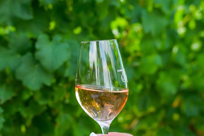1/2 day, private wine tour, van from Saint Tropez - Who should book this three-hour tour