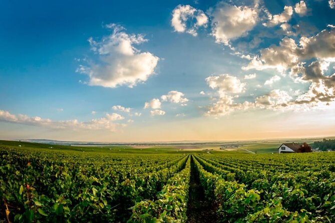 100% Champagne LOVER Tour:1 Iconic house visit+3 tastings & Lunch - Dom Pérignon’s tomb and the story behind the name