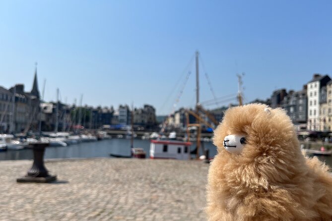 2-Days Customisable Private Guided Tour in Normandy & Brittany - What the Private Vehicle Adds