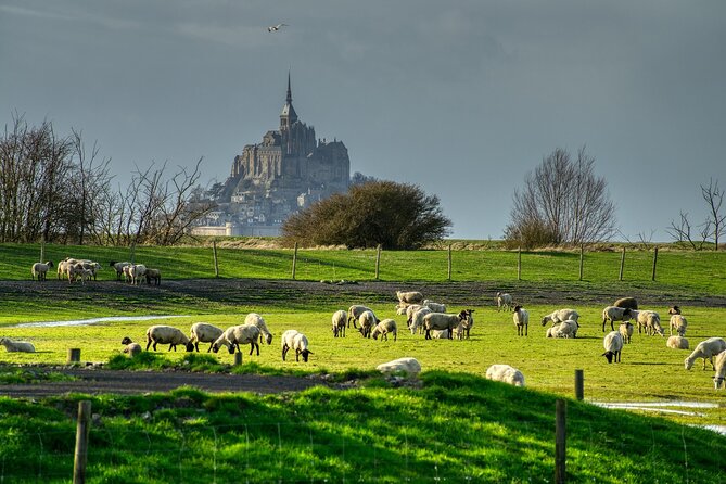 2 Hours Private Walking Tour of Mont Saint Michel - Starting along La Grande Rue
