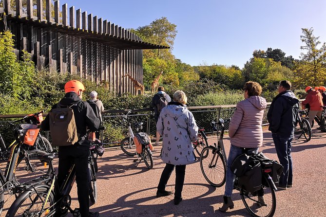 2h - Electric Bike Tour of Lyon with a Local Guide - Place Bellecour and Lyon Cathedral: the pedestrian heart, by bike