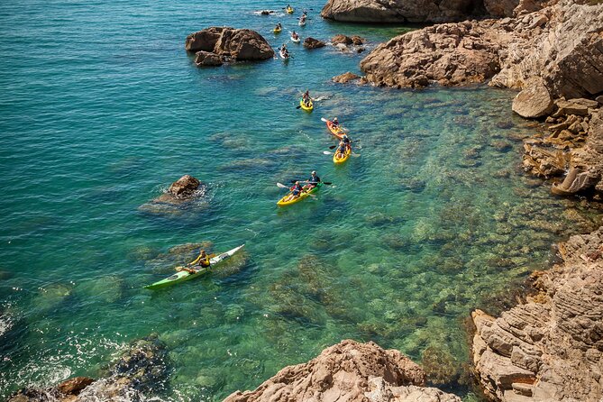 3 Hour of Sea Kayak Trip in the Creeks of Sete - Key points before you go