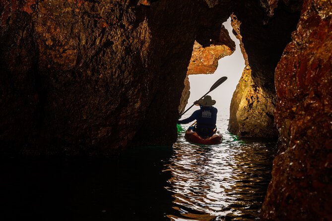 3 Hour of Sea Kayak Trip in the Creeks of Sete - Morning vs afternoon departures (and why that affects your day)