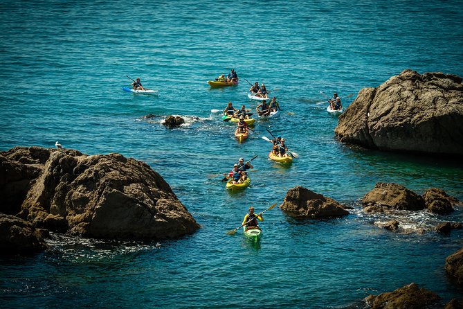 3 Hour of Sea Kayak Trip in the Creeks of Sete - If conditions change: canals in Sète as the Plan B