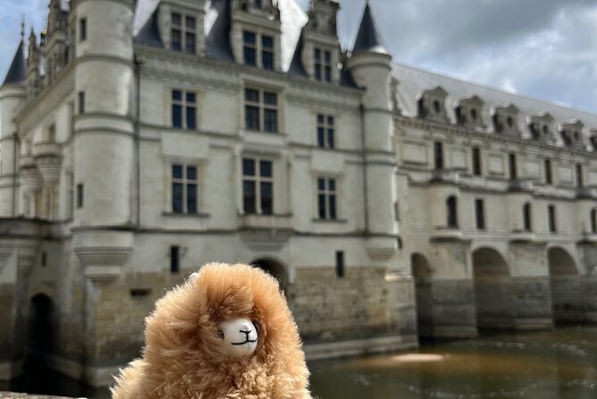 3 Loire Valley Castles and Wine Tasting Private Guided Tour - Lunch in Amboise: Use Your Hour Wisely