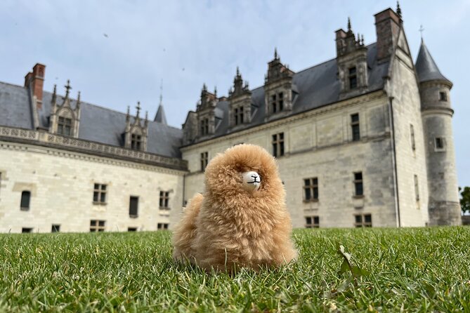 3 Loire Valley Castles and Wine Tasting Private Guided Tour - Stop 3: Château de Chenonceau and the Ladies Castle