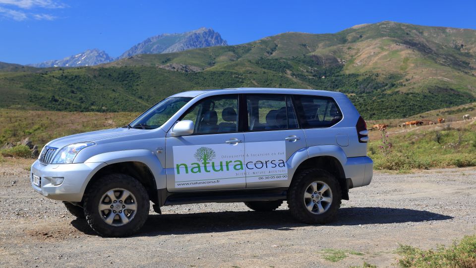 4x4 Agriates Desert and Beach Excursion from Calvi - Should You Book Natura Corsa’s Agriates Desert And Beach Excursion?