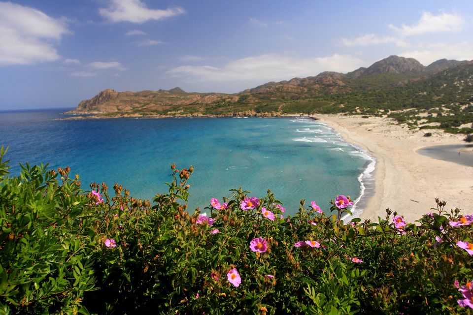 4x4 Agriates Desert and Beach Excursion from Calvi - Price And Value: What $123 Buys You (And What It Doesn’t)