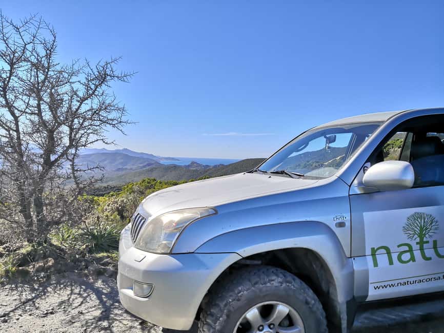 4x4 Agriates Desert and Beach Excursion from Calvi - Entering The Agriates Desert: Maquis, Fauna, Caves, And Abandoned Places