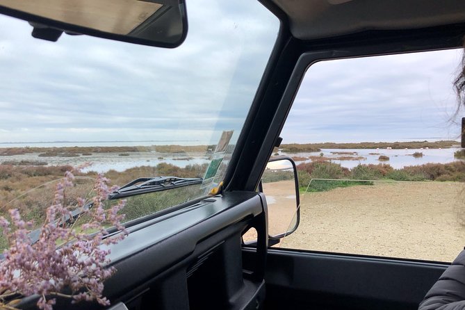 4x4 Camargue Safari 4h - Departure from Arles - The 4x4 ride: why the route beats DIY in the Camargue