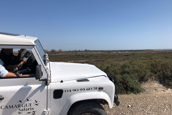 4x4 Camargue Safari 4h - Private Tour - Departure from Arles - The First Drive: How the Guide Sets Up the Wildlife Hunt