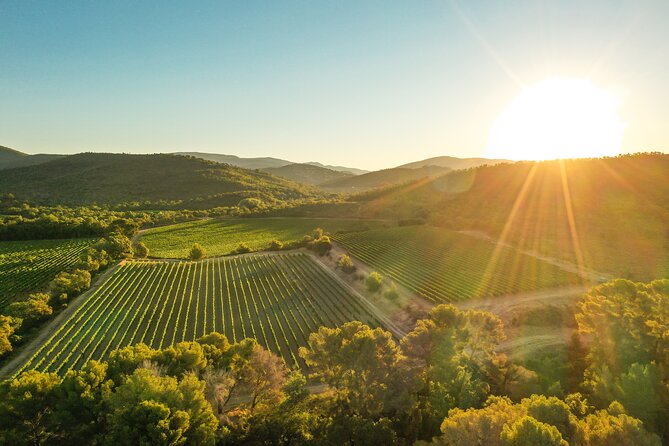 4x4 tour in a winery followed by a tasting - The retro Defender approach: why it feels different in Bormes-les-Mimosas