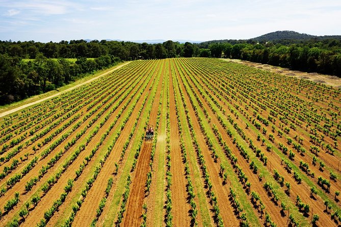 4x4 tour in a winery followed by a tasting - The pacing: fitting it into a Riviera day without stress