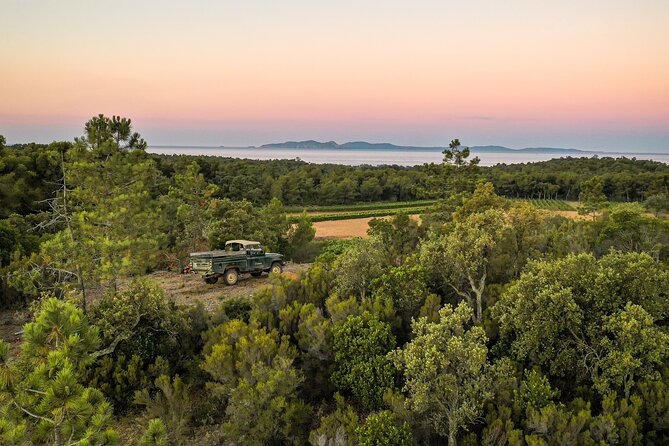 4x4 tour in a winery followed by a tasting - Stop 1 at Domaine de la Sanglière: vineyard walk + the Porquerolles view