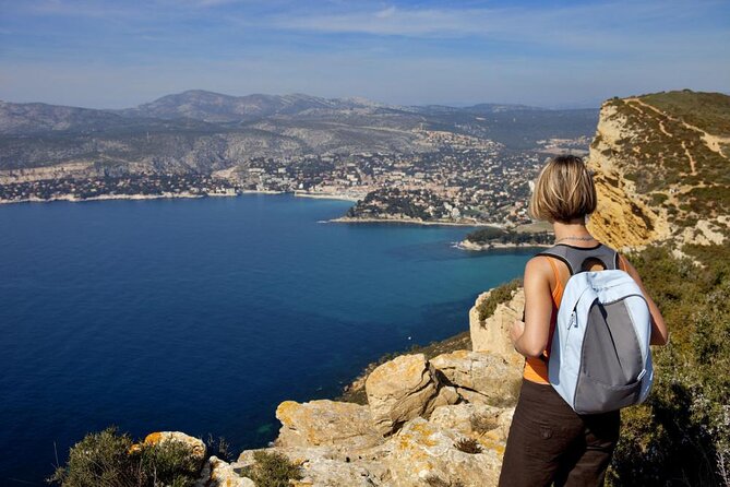 5-Hour Private Sightseeing Tour of the Provence from Marseille in Luxury Car - Why This Provence Day Trips So Well From Marseille