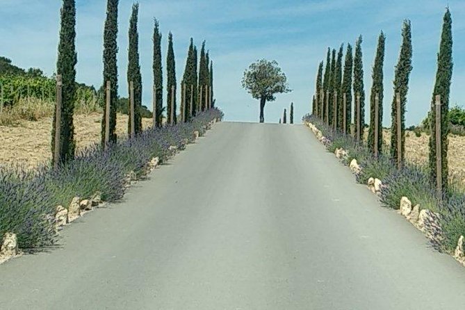 5-Hour Private Sightseeing Tour of the Provence from Marseille in Luxury Car - Cassis on the Med: Seafood, Rose Wine, and That Coastal Luxury Feeling