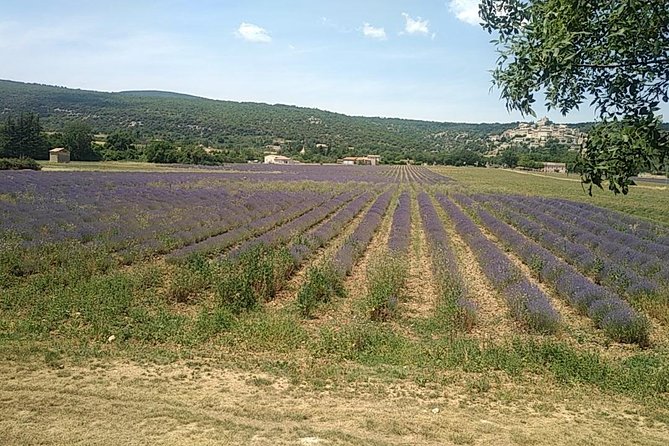 5-Hour Private Sightseeing Tour of the Provence from Marseille in Luxury Car - Atelier des Lauves: A Quick Cézanne Workshop Stop That Sets the Theme