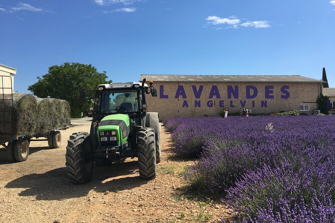 5-Hours Lavender Fields Tour in Valensole from Aix-en-Provence - Producer and distillery stops: shopping that connects to the source