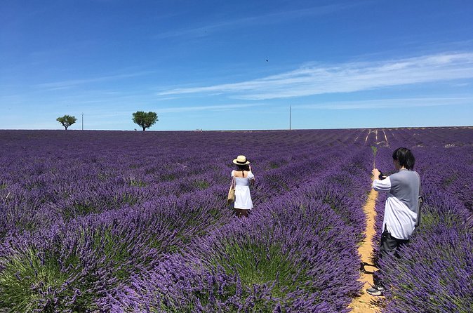 5-Hours Lavender Fields Tour in Valensole from Aix-en-Provence - Photo tips that actually help (and avoid foot pain)
