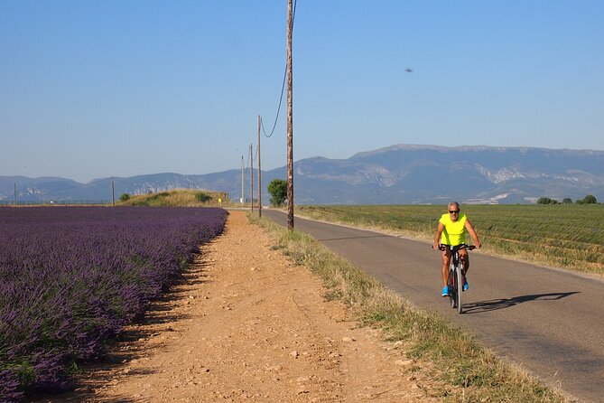 5-Hours Lavender Fields Tour in Valensole from Aix-en-Provence - Stop 1 on the Plateau de Valensole: where the lavender photos happen