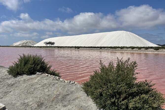 8 Hours Visit to the Camargue and the Salins d’Aigues-Mortes - Key points to know before booking