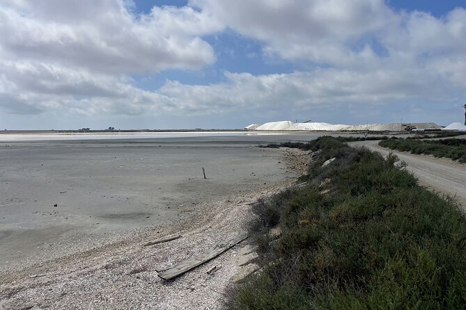 8 Hours Visit to the Camargue and the Salins d’Aigues-Mortes - Scamandre ponds and a picnic with the birds