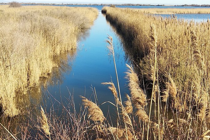 8 Hours Visit to the Camargue and the Salins d’Aigues-Mortes - Is $98.40 a fair price?