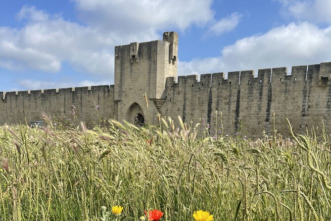 8 Hours Visit to the Camargue and the Salins d’Aigues-Mortes - Aigues-Mortes, where stone walls shape the visit