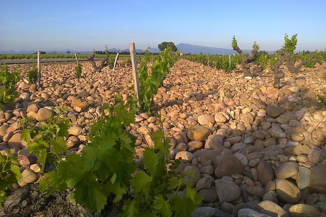 A Day in Provence Small Group Tour from Marseille - Timing, Food, and Comfort on an 11.5-Hour Day