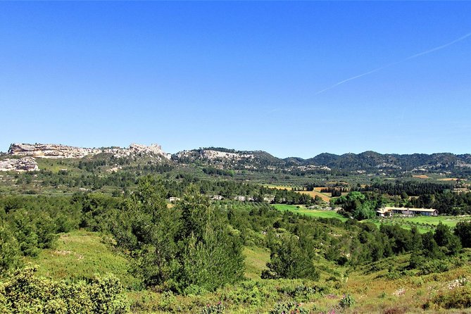 A Day in Provence Small Group Tour from Marseille - The Guide Factor: What You’re Likely to Get From A La Française