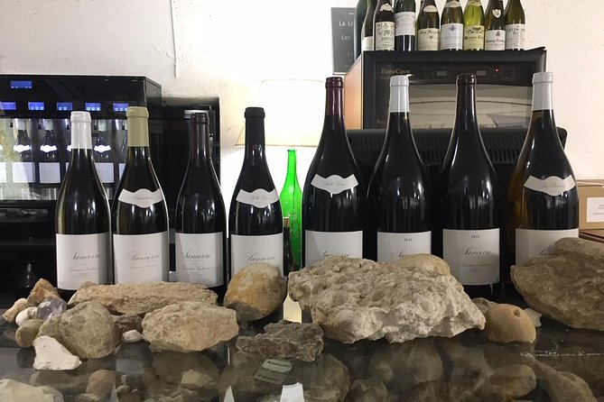 A Winey Day Out: Sauvignon Blanc Wine Tour of Sancerre and Pouilly-Fumé - A first look at Sancerre from Maison des Sancerre