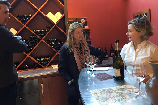 A Winey Day Out: Sauvignon Blanc Wine Tour of Sancerre and Pouilly-Fumé - Starting at Cosne-sur-Loire at 9:30 am
