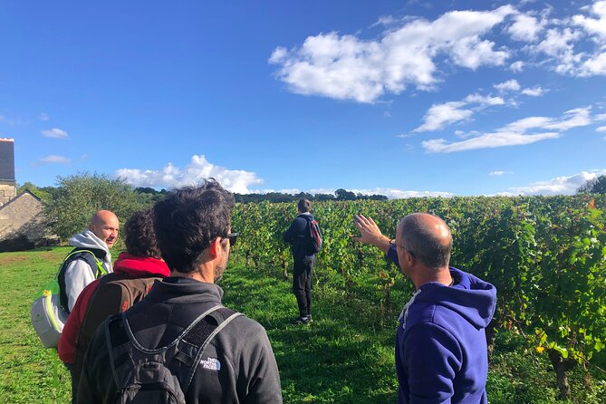 Afternoon Loire Valley Wine Tour from Tours or Amboise - Cheese and charcuterie pairings that teach you faster