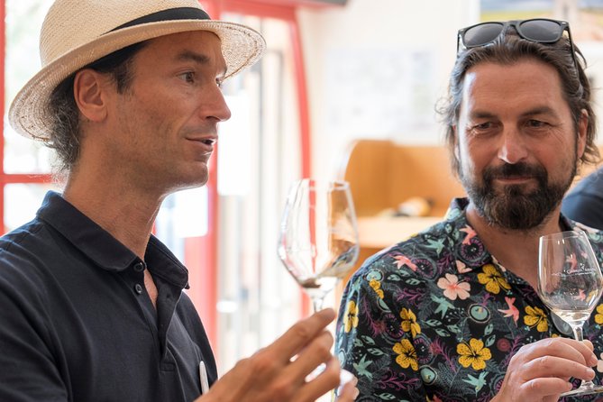 Afternoon Wine Tour to Chateauneuf du Pape from Avignon - What you taste: reds, whites, and how much wine time you get