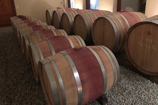 Afternoon Wine Tour to Chateauneuf du Pape from Avignon - Why the small group (max 8) changes your wine tasting experience