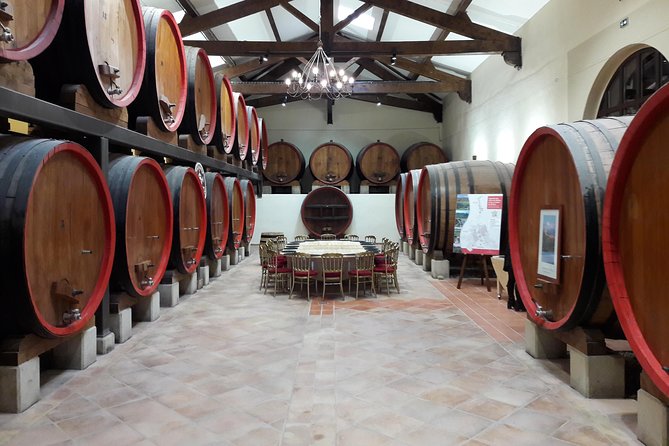 Afternoon Wine Tour to Chateauneuf du Pape from Avignon - The biggest practical tip: eat first and bring a snack