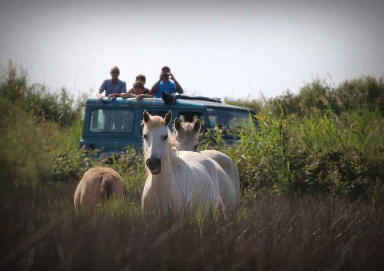 Aigues Mortes: Jeep Photo Safari in Camargue - Key highlights to expect