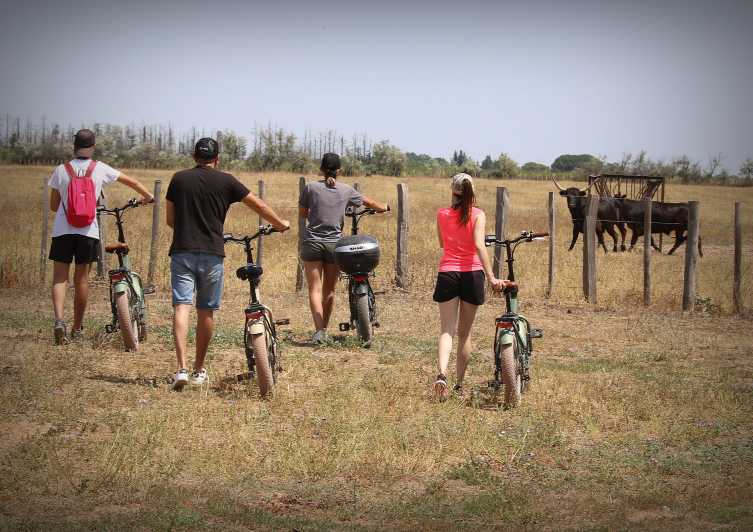 Aigues Mortes: safari en vélo - Ebike tour in Camargue - Entering the Petite Camargue on an e-bike