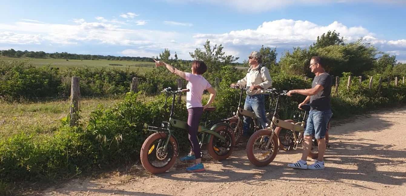 Aigues Mortes: safari en vélo - Ebike tour in Camargue - What to bring (and what to avoid with closed-toe shoes)