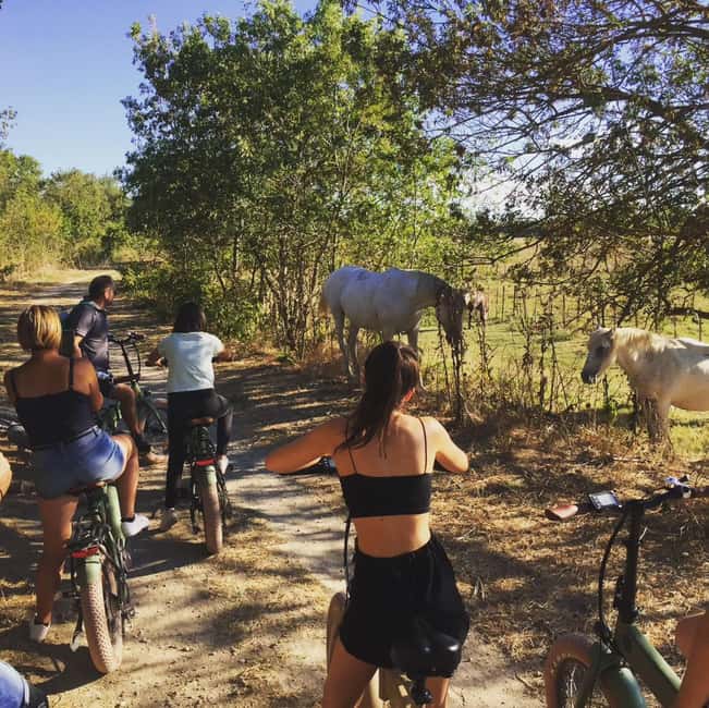 Aigues Mortes: safari en vélo - Ebike tour in Camargue - From Aigues-Mortes paths to vineyards, marshes, and canals