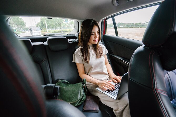 Airport transfer CDG - Paris | Driver Professional - A calmer first hour after landing at CDG