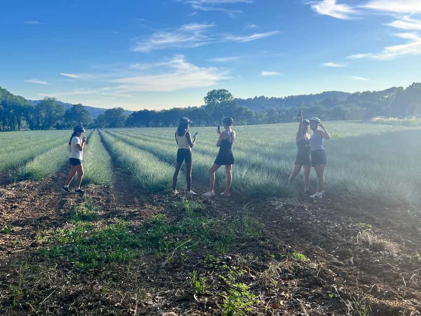 Aix-en-Provence: E-Bike Tour of Mount Sainte-Victoire - The e-bike briefing that keeps first-timers confident