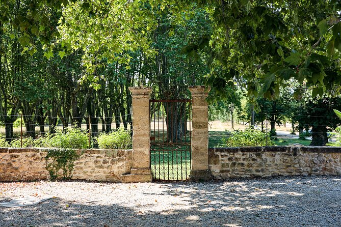 Aix-en-Provence old town, wine & art of Châteaux Beaupré & Bonisson private tour - Starting in Aix-en-Provence with Cezanne