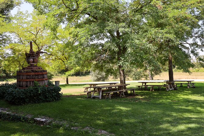 Aix-en-Provence old town, wine & art of Châteaux Beaupré & Bonisson private tour - Practical strengths and possible weak spots