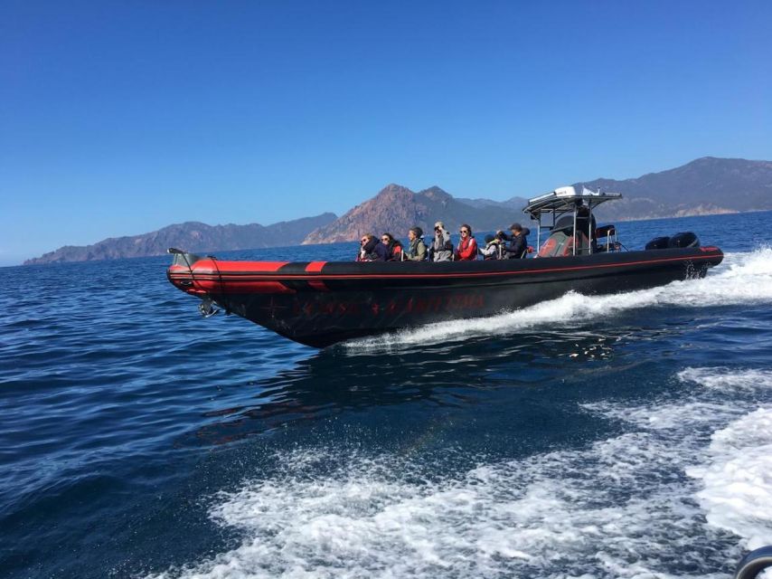 Ajaccio/Porticcio: Scandola & Piana Semi-Rigid Boat Day Trip - Key highlights I’d target