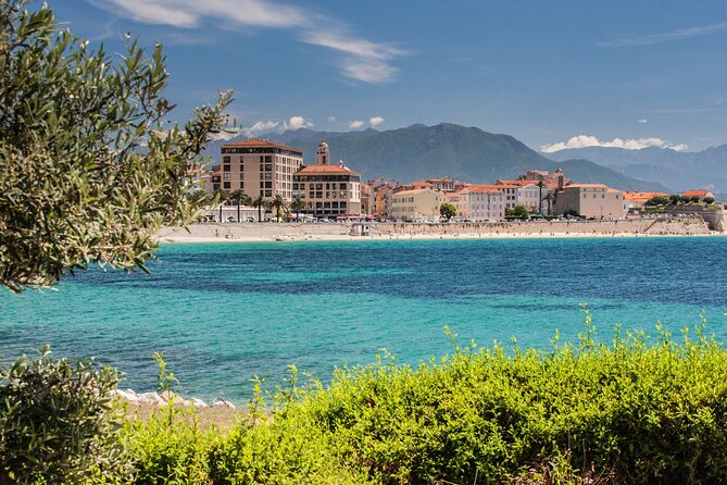 Ajaccio : Private Custom Walking Tour with A Guide (Private Tour) - A private way to meet Ajaccio