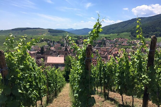 Alsace 4 Wonders Small-Group Day Trip from Colmar - Colmar to Alsace Without the Headaches: The Real Value Here
