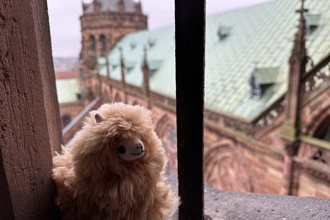Alsace: Colmar, Villages & Castle Private Guided Full Day Tour - Key highlights at a glance