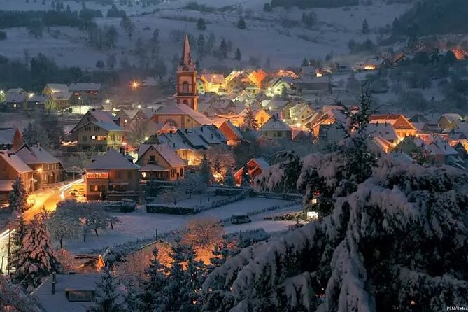 Alsace: Colmar, Villages & Castle Private Guided Full Day Tour - Comfort, group size, and the small details that matter