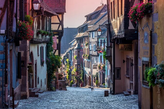 Alsace: Colmar, Villages & Castle Private Guided Full Day Tour - Price and what you get for a group up to 3